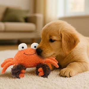 Köpekler ve Kediler için Yumuşak Tüylü Dokulu ve PP Pamuk Dolgulu Sevimli Karikatür Yengeç Peluş Oyuncak, İnteraktif Çiğneme ve Rahatlatıcı Oyun - Product Image 1