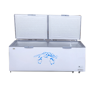 Congélateur à énergie solaire commercial 200L/300L-congélation profonde pour la maison/supermarché/extérieur - Product Image 3