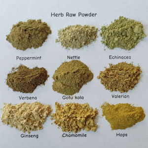 Extrait de <span class=keywords><strong>verveine</strong></span>, extrait de feuilles de <span class=keywords><strong>verveine</strong></span>, extrait de Verbena officinalis, fourni par une usine certifiée ISO - Product Image 4