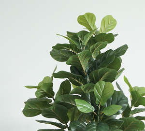 Commercio all'ingrosso simulato fiorire foglie di plastica Ficus Lyrata alberi finti artificiali pieghevole pianta albero - Product Image 6