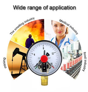 कस्टम निर्मित गैस दबाव गेज मीटर न्यूनतम डिजाइन स्टेनलेस स्टील सटीक विद्युत संपर्क दबाव गेज - Product Image 3