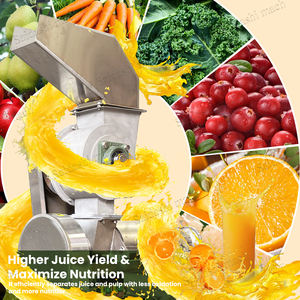 خط إنتاج عصير الفواكه الصناعي الصغير بالضغط البارد لعصر البرتقال والليمون والخضروات والمانجو - Product Image 2