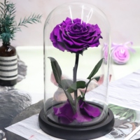 Vente en gros de petites roses rouges conservées avec lumière LED, dôme en verre éternel, cadeaux de décoration de mariage pour Noël