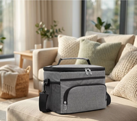 Sac isotherme portable NICELIFE 20L imperméable en non-tissé avec fermeture éclair, boîte à bento en aluminium épais pour le voyage