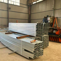 Estructura de Acero Económica y Fácil de Montar, Nave Modular de Paredes Delgadas, Taller, Almacén