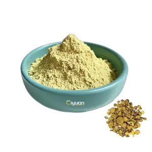 Ciyuan Factory Supply Hot Selling Scutellaria Baicalensis Root Extract / Scutellariae Extract Powder 85% Baicalin