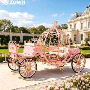 Chariot de transport tout temps à cadre ouvert, style conte de fées, avec coussin rose et motifs floraux, pour parc - Product Image 1