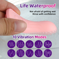 Höschenvibrator Damen tragbares Mini-Vibro Erwachsenenspielzeug Klitoris-Stimulator Fernbedienung Vibrierender Massage-Spielzeug für Damen