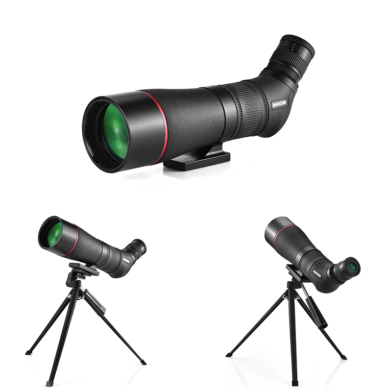 バード　scope別注 Evening bird イブニングバード イッタラ バード イブニングバード スコープ 別注 グリーン アメジスト