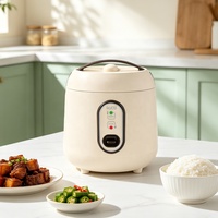 Mini cuiseur à riz 1,0 L/350 W, cuisson rapide, revêtement antiadhésif, avec tasse doseuse, pour étudiants, personnes âgées, célibataires, petites familles