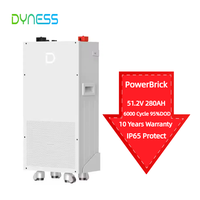 Stock UE Dyness PowerBrick 51.2V 280Ah 15kWh LiFePO4 Batterie murale au lithium Powerwall Système de stockage d'énergie avec roues