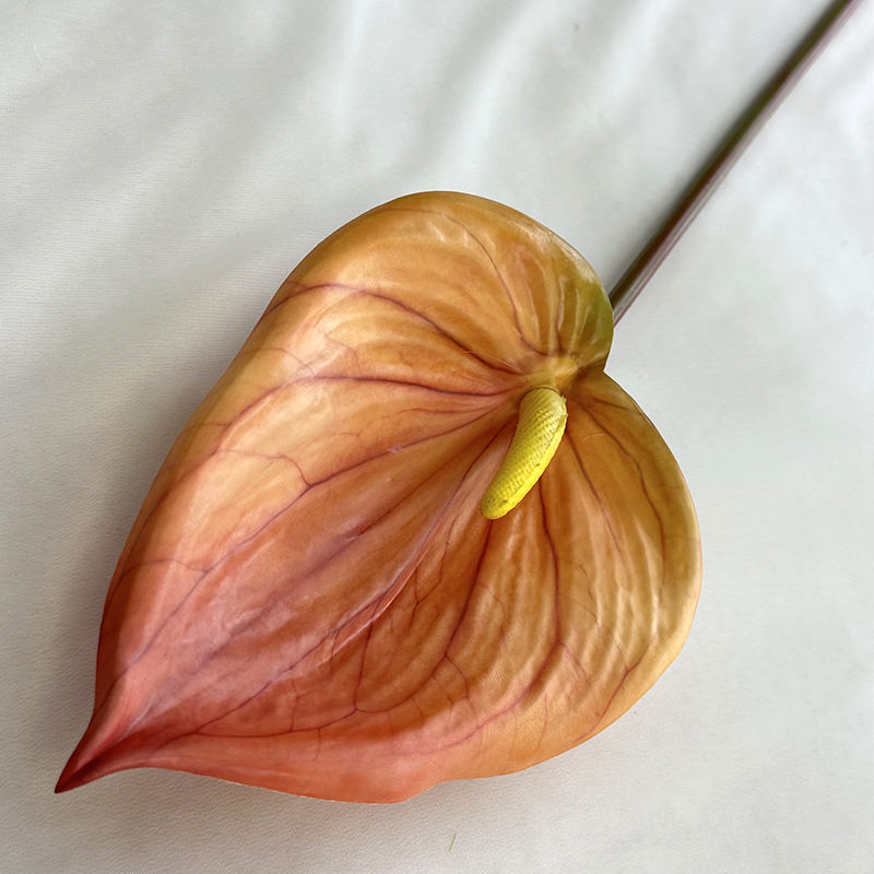 สีคาราเมล