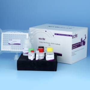 <span class=keywords><strong>Kit</strong></span> ELISA pour maladie cutanée grumeleuse | Test d'anticorps 96T bovin LSDV | <span class=keywords><strong>Kit</strong></span> de <span class=keywords><strong>diagnostic</strong></span> vétérinaire pour bétail - Product Image 3