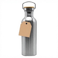 Bouteille d'eau sport en acier inoxydable non isolée de 501-600 ml, sans BPA, fabriquée en Chine