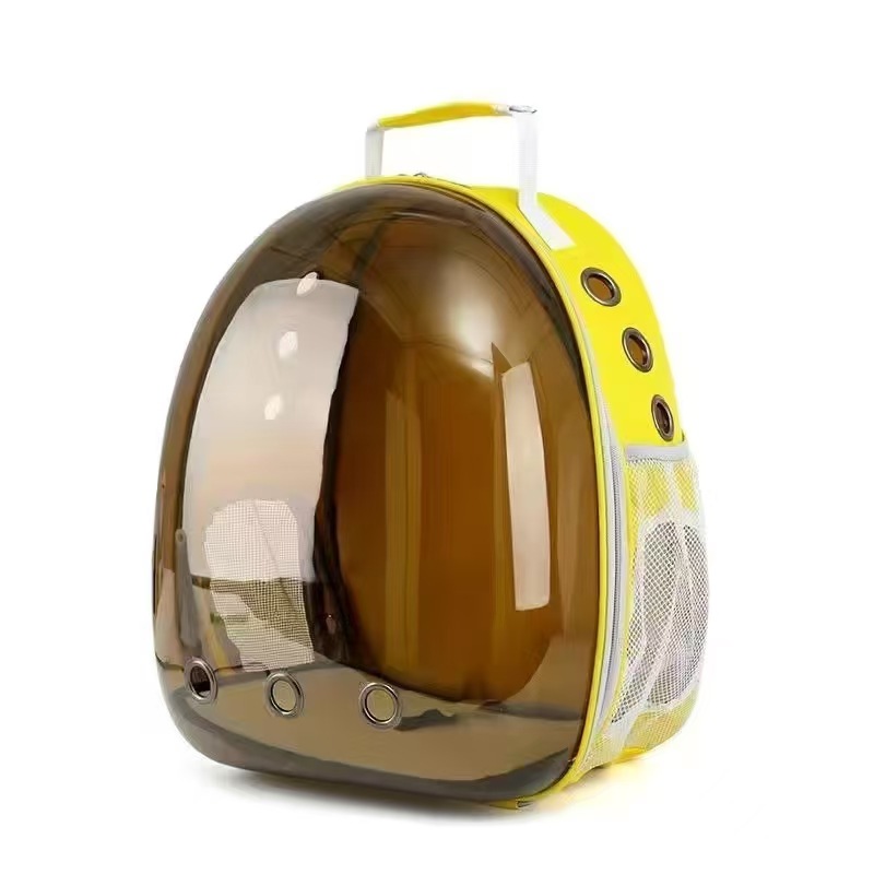 Yellow-brown shell