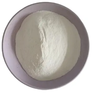 VAE Powder Building Material Redispersible Polymer Powder RDP Manufacturer