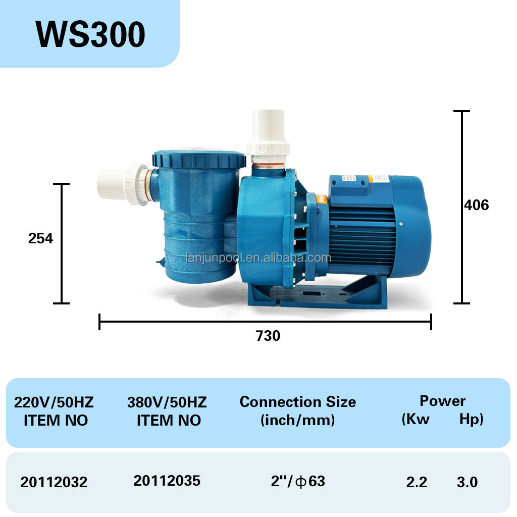 WS300(3.0HP/2.2kw/220V/50HZ)