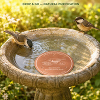 Disque de bain d'oiseaux en cuivre pur à 99,9 % de 10 cm, plaque purificatrice d'eau gravée au laser de 0,6 mm, support à trois points pour nettoyeur de bain d'oiseaux extérieur