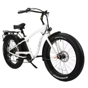 2024 New design factory Wholesales foldable electric bike mountain bike 36V lithium battery ebike 250W electric bicycle