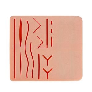 Un modèle <span class=keywords><strong>de</strong></span> <span class=keywords><strong>pratique</strong></span> à double usage pour <span class=keywords><strong>la</strong></span> ponction veineuse et <span class=keywords><strong>la</strong></span> suture des plaies .. - Product Image 5