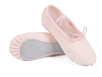 Zapatillas de Ballet de lona profesionales para mujer, suela blanda, zapatos de entrenamiento de baile para adultos y niños para Ballet y actuación