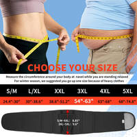 Ceinture de soutien lombaire réglable avec coussin lombaire amovible pour le soulagement des douleurs dorsales, sciatiques et scolioses