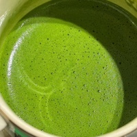 Thé Matcha Biologique en Gros Marque Privée Qualité Cérémoniale avec Certification Halal