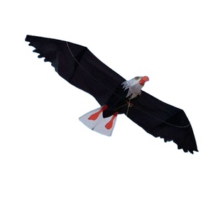 3D Eagle single line stunt kite Fun Sports Kite Factory Children Triangle Colorful Kite Easy Fly