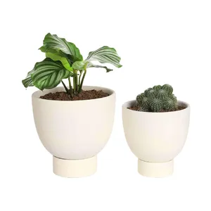 2 PCS 6 Inch & 8 Inch White Indoor Terracotta Self Watering Plant Pot Terra Cotta Plant Pot with Drainage Hole