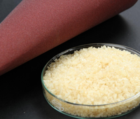 Base de poudre de gelato italienne, gelatine professionnelle, fournisseur direct d'usine, poudre non aromatisée, gelatine halal