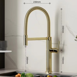 Vàng Mùa Xuân Chất Lượng Cao 304 Thép Không Gỉ Vòi Nước Nhà Bếp Phong Cách Cổ Điển Pull-out Thiết Kế Với Dễ Dàng Làm Sạch Thuận Tiện - Product Image 4