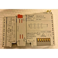 Módulo de Entrada Digital 750-415, 24V AC/DC, 20ms