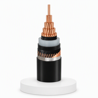 Câble d'alimentation basse tension en cuivre XLPE PVC YJV YJLV NYY N2XY BS5467 AS/NZS5000.1 IEC CE RoHS