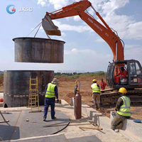 Usine de traitement au cyanure de petite taille pour l'extraction minière 100 TPD en Afrique