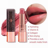 Crayon magique cosmétique imperméable à l'eau en gros rouge à lèvres imperméable marque privée rouge à lèvres mat hydratant haut de gamme