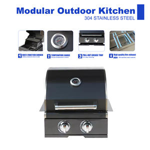 Prix direct d'usine Gril à <span class=keywords><strong>gaz</strong></span> à 2 brûleurs Acier inoxydable 304 Titane noir Prix direct d'usine Look moderne pour les fêtes - Product Image 5