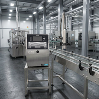 Nuova Stampante Digitale a Getto d'Inchiostro per Etichette con Alta Capacità Produttiva, 1-5 Linee, per Imballaggi Alimentari, Sacchetti di Plastica e Cartoni