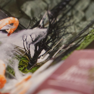 Gran Inventario a Bajo Precio, Folleto Impreso en Offset con Cubierta Dura Cosida con Hilo, Catálogo, Folleto, Panfleto - Product Image 1