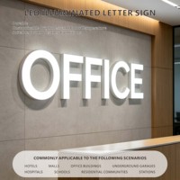 Lettres encastrées LED personnalisées en usine, lettres publicitaires lumineuses 3D pour centre commercial, bureau et clinique