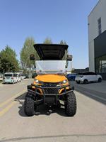 20 voitures de golf électriques 2 places en gros, livrées en conteneur de 40 pieds, pour la chasse et les parcs de golf