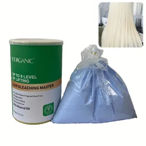 Bubuk pemutih rambut dan pengembang Level 9 produk Salon profesional Lightener Label pribadi biru untuk pewarna rambut Lightener