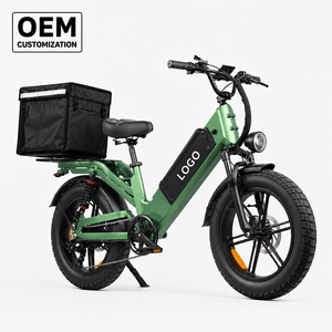 Bicicleta Eléctrica de Carga con Llantas Gruesas de 20 Pulgadas, Motor sin Escobillas de 48V 750W, Cuadro de Aluminio, Freno de Disco, 7 Velocidades, Personalización OEM - Product Image 1