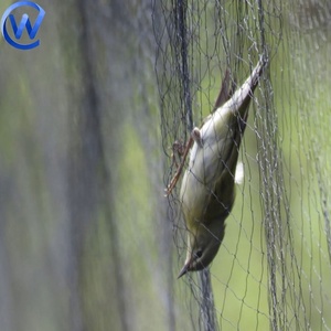 שחור ערפילי ציפורים ערפילי ציפורים rez de niebla בסדר ציפור לתפוס ערפל לתפוס רשתות למכירה - Product Image 2