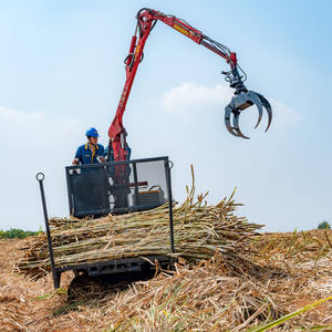 Transportador de Troncos Inteligente y Eficiente Energéticamente Xuvol, Transportador de Caña de Azúcar/Madera, Transporta 100 Toneladas de Caña de Azúcar en un Día - Product Image 4