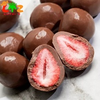 Vente en gros en vrac Halal Lyophilisé FD Fraise Chocolat Fruits composés Forme pâteuse