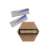 Dentiers complets à deux couches, fabrication dentaire, CE ISO, vente en gros, dents artificielles personnalisées, résine synthétique