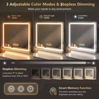 Holly Wood Large LED Makeup Mirror 58x43cm Smart Touch 3-Color USB Rechargeable Metal Frame Custom Logo Vanity Espelho Maquiagem