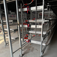 Poulaillers multi-niveaux entièrement automatisés à ventilation tunnel pour l'élevage de poulets de chair aux Philippines