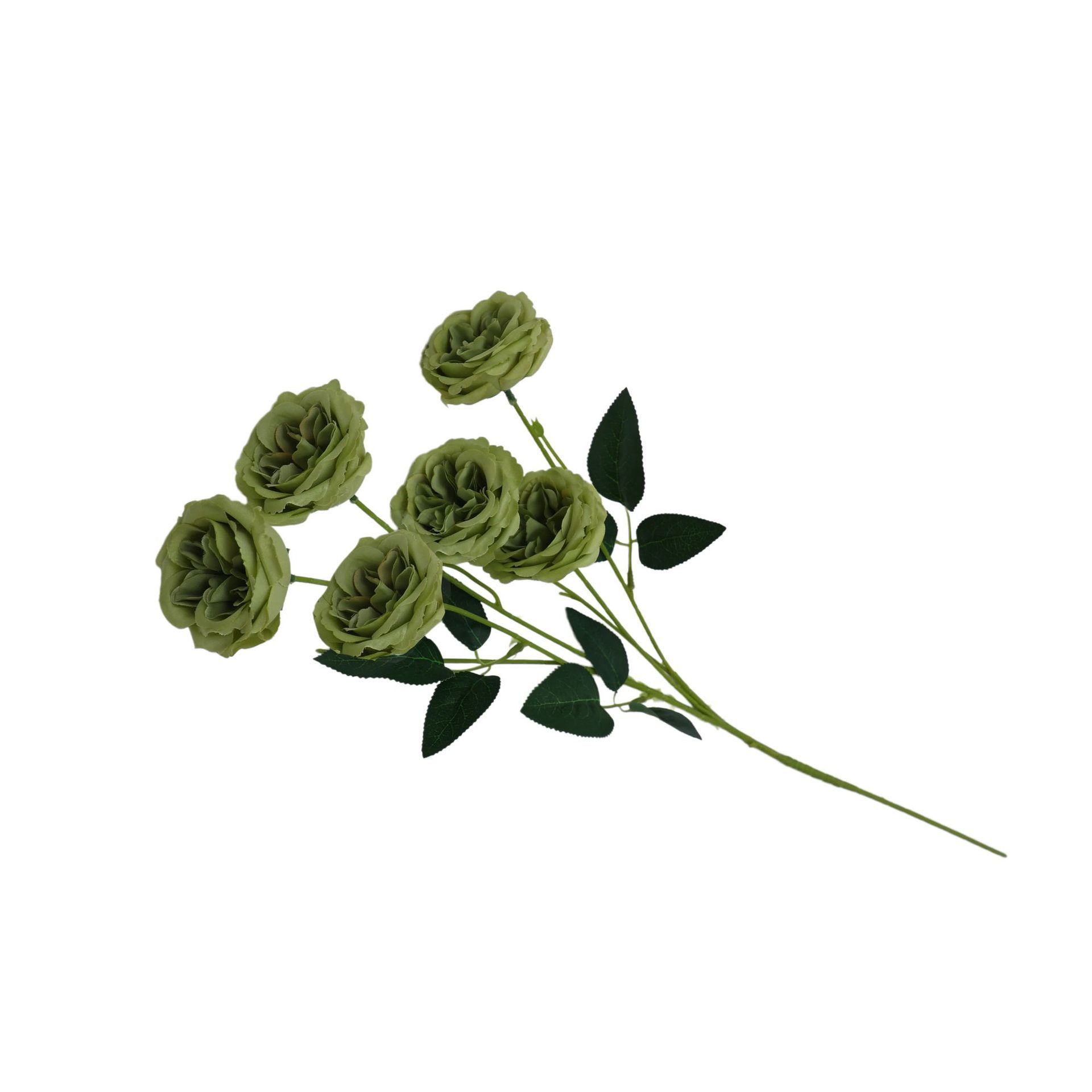 vert