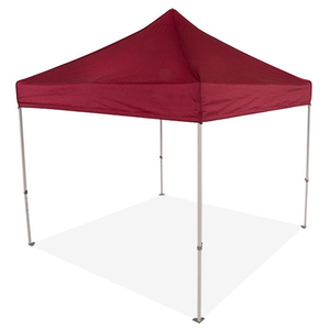Entrega rápida, tiendas de cultivo plegables para niños, cubierta de PVC 3x3, logotipo impreso para eventos, bodas, exposiciones y hoteles - Product Image 1
